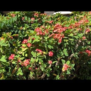 Meet your Posher, Mary ellen